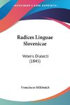 Radices Linguae Slovenicae