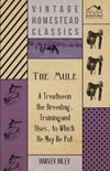 The Mule - A Treatise on the Breeding, Training and Uses, to Which He May Be Put