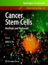 Cancer Stem Cells