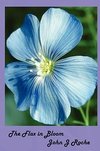 The Flax In Bloom