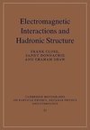 Electromagnetic Interactions and Hadronic Structure