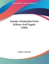 Jurassic Ammonites From Echizen And Nagato (1904)