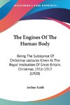 The Engines Of The Human Body