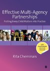 Effective Multi-Agency Partnerships