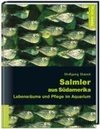 Salmler aus Südamerika