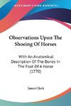 Observations Upon The Shoeing Of Horses