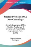 Siderial Evolution Or A New Cosmology