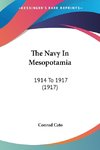 The Navy In Mesopotamia