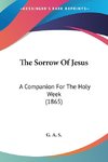 The Sorrow Of Jesus