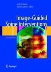 Image-Guided Spine Interventions