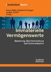 Immaterielle Vermögenswerte