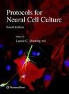 Protocols for Neural Cell Culture