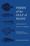 Fishes of the Gulf of Maine