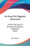 An Essay On Magnetic Attractions