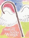 From Walking Sticks to Wings