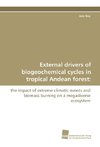 External drivers of biogeochemical cycles in tropical Andean forest: