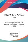 Tales Of Boys As They Are