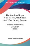 The American Negro, What He Was, What He Is, And What He May Become