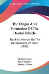 The Origin And Formation Of The Dental Follicle