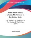 What The Catholic Church Most Needs In The United States