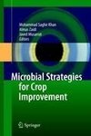 Microbial Strategies for Crop Improvement