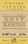 Practical Angora Goat Raising