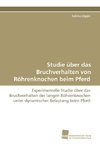 Studie über das Bruchverhalten von Röhrenknochen beim Pferd