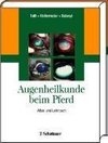 Augenheilkunde beim Pferd