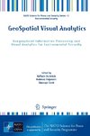 GeoSpatial Visual Analytics