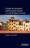 Capital Accumulation and Economic Growth in a Small Open Economy