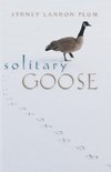 Solitary Goose