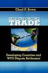 Self-Enforcing Trade