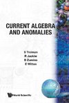 Current Algebra and Anomalies