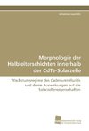 Morphologie der Halbleiterschichten innerhalb der CdTe-Solarzelle