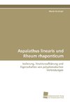 Aspalathus linearis und Rheum rhaponticum