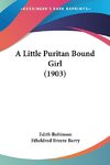 A Little Puritan Bound Girl (1903)