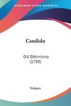 Candido