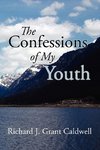 The Confessions of My Youth