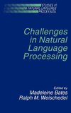 Challenges in Natural Language Processing