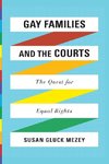 Gay Families and the Courts