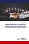 Why dolphins cooperate?