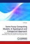 Some Fuzzy Computing Models: A Topological and Categorical Approach