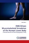 EMG Driven Musculoskeletal Simulation of the Human Lower Body