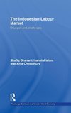 Dhanani, S: The Indonesian Labour Market