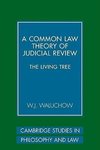 A Common Law Theory of Judicial Review