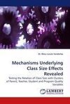 Mechanisms Underlying Class Size Effects Revealed