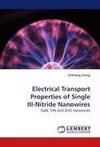 Electrical Transport Properties of Single III-Nitride Nanowires