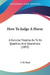 How To Judge A Horse