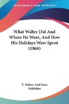 What Walter Did And Where He Went, And How His Holidays Were Spent (1868)