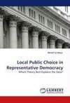 Local Public Choice in Representative Democracy